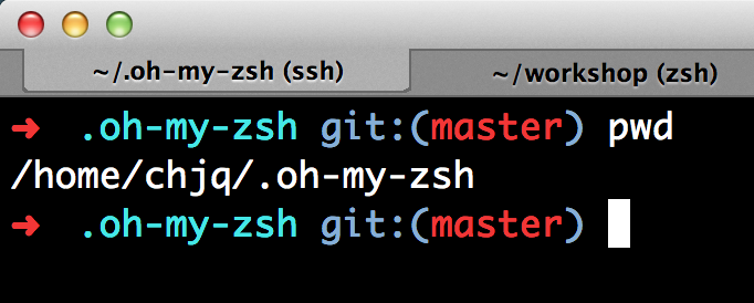 zsh11